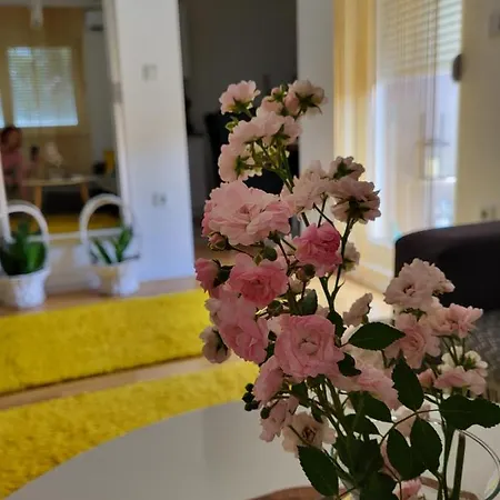 Exclusive Apartment